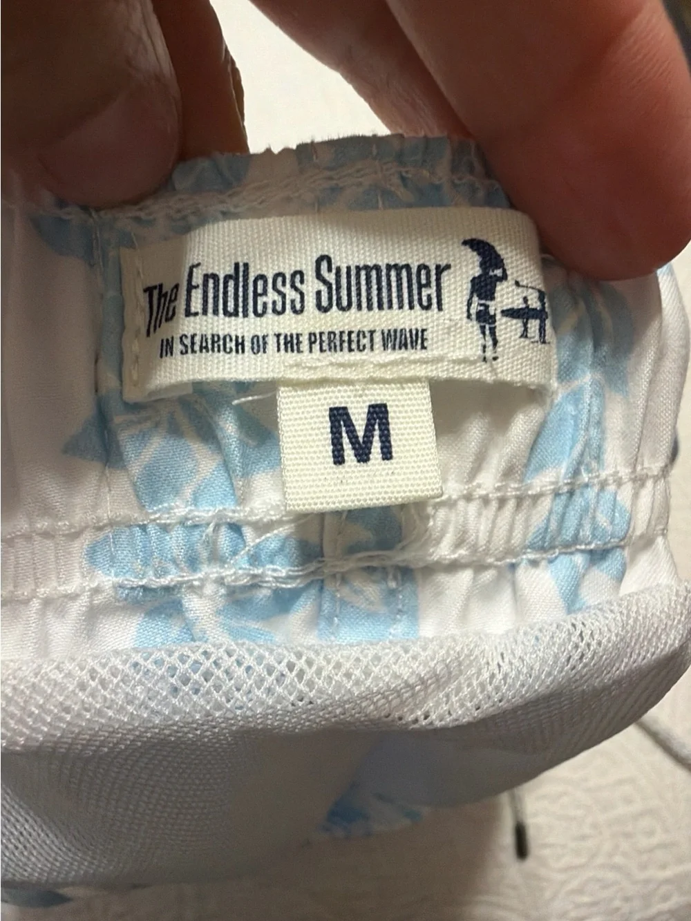 Endless Summer classic light
